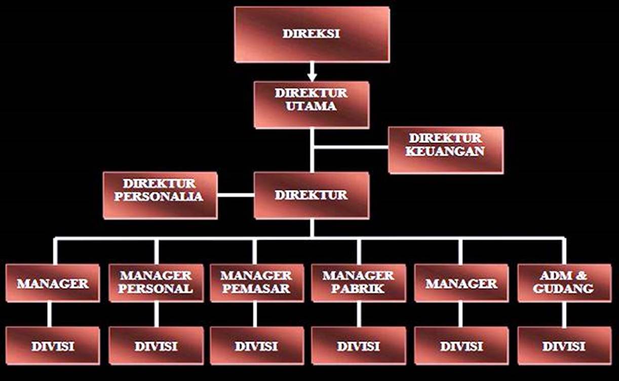 You are currently viewing Mengenal Struktur Organisasi dalam Perusahaan dan Peran OTKP